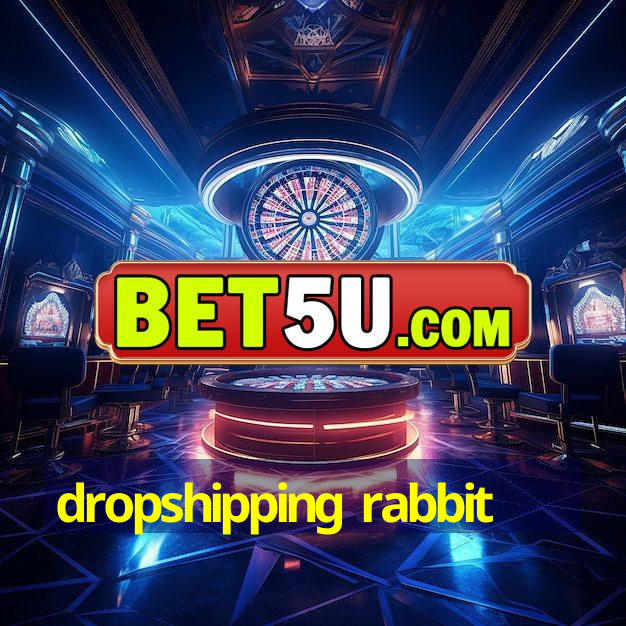 dropshipping rabbit